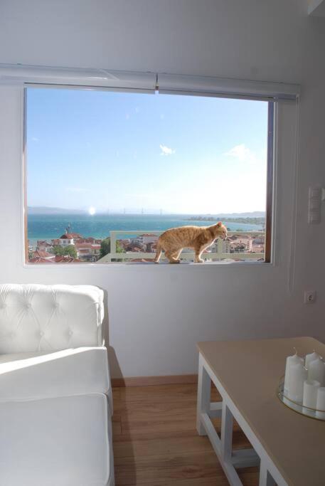360ᵒ Lepanto Apartment Nafpaktos エクステリア 写真